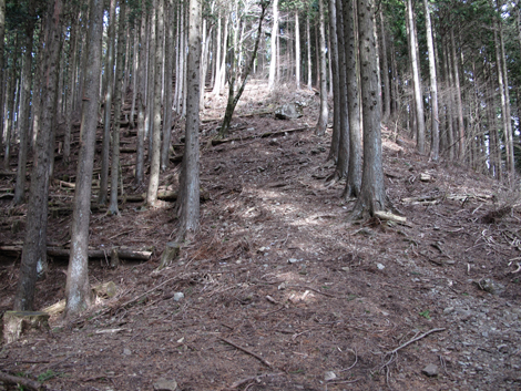 20160121hike (170)